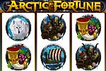 Arctic Fortune