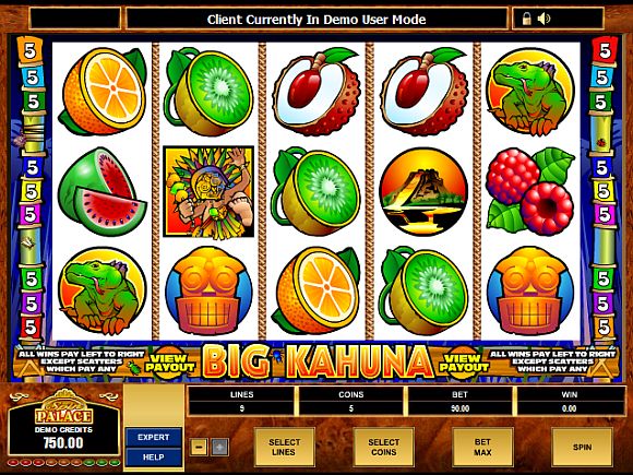 Big Kahuna 2 - Snakes and Ladders