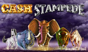 cash-stampede-logo