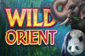 wild-orient-logo